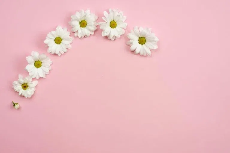 اسباب النزيف المهبلي