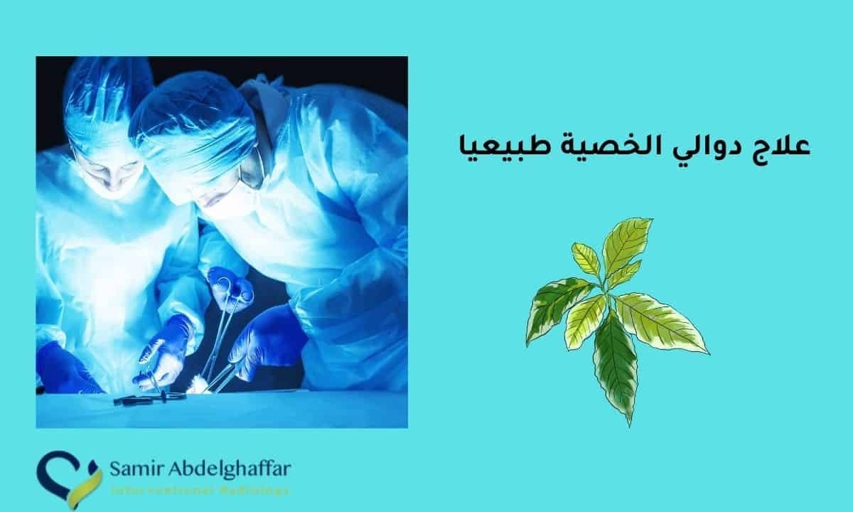 علاج دوالي الخصية طبيعيا | قسطرة الدوالي بدون جراحة 1 علاج دوالي الخصية طبيعيا