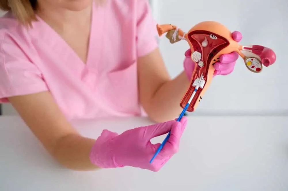 بطانة الرحم: دليلكِ لفهم بطانة الرحم وأعراضها وعلاجاتها 1 بطانة الرحم