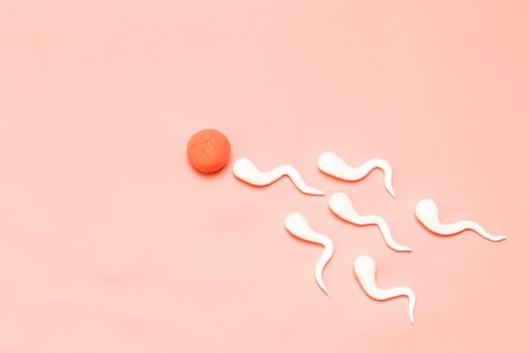 أين يذهب ماء الرجل بعد استئصال الرحم؟
